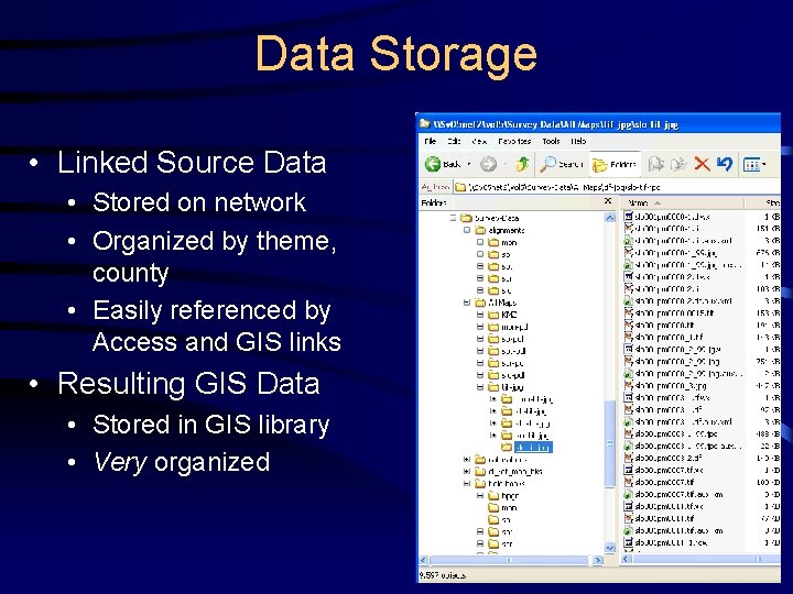 Data Storage • Linked Source Data • Stored on network • Organized by theme,