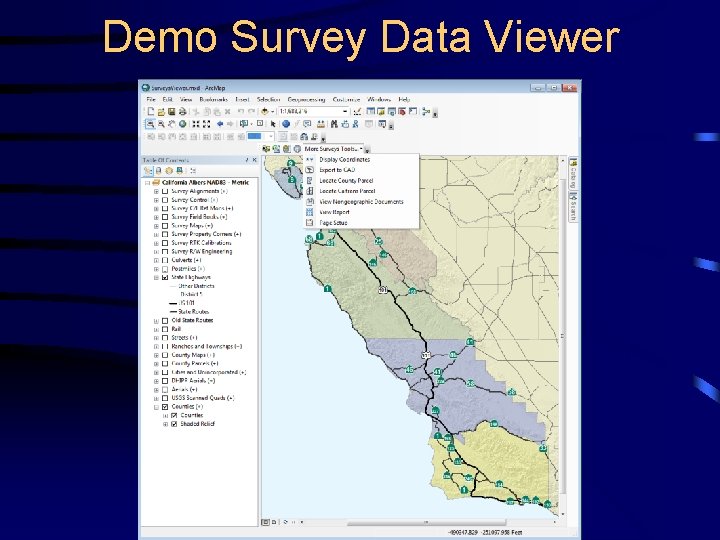 Demo Survey Data Viewer 