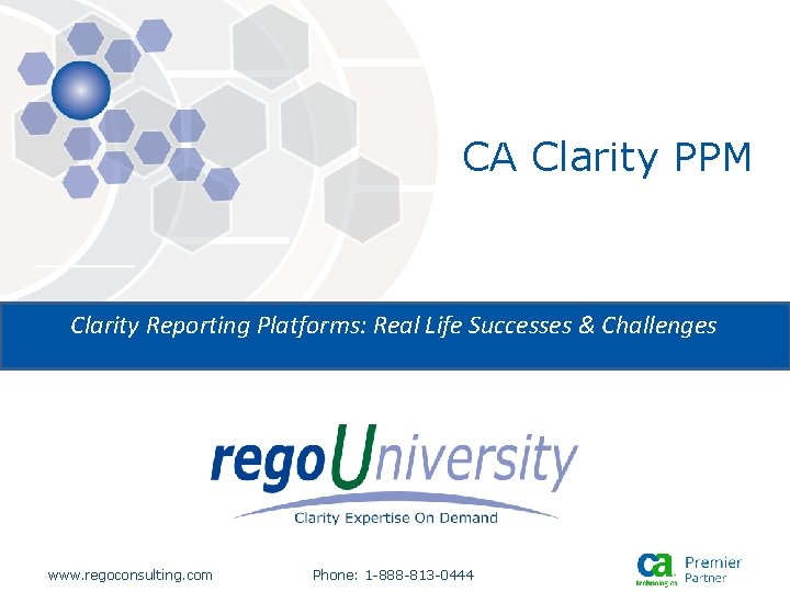 CA Clarity PPM Clarity Reporting Platforms: Real Life Successes & Challenges www. regoconsulting. com