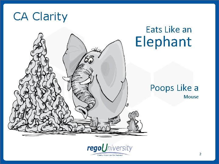 CA Clarity Eats Like an Elephant Poops Like a Mouse 2 www. regoconsulting. com