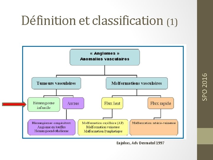 SPO 2016 Définition et classification (1) Enjolras, Adv Dermatol 1997 