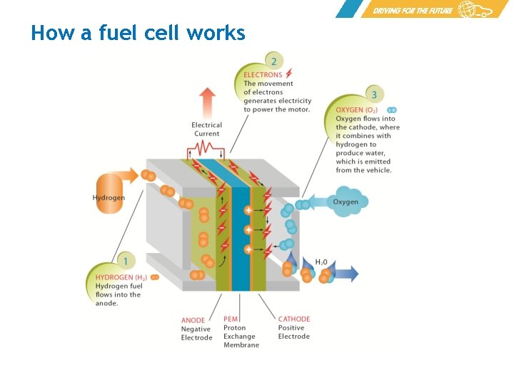 How a fuel cell works 