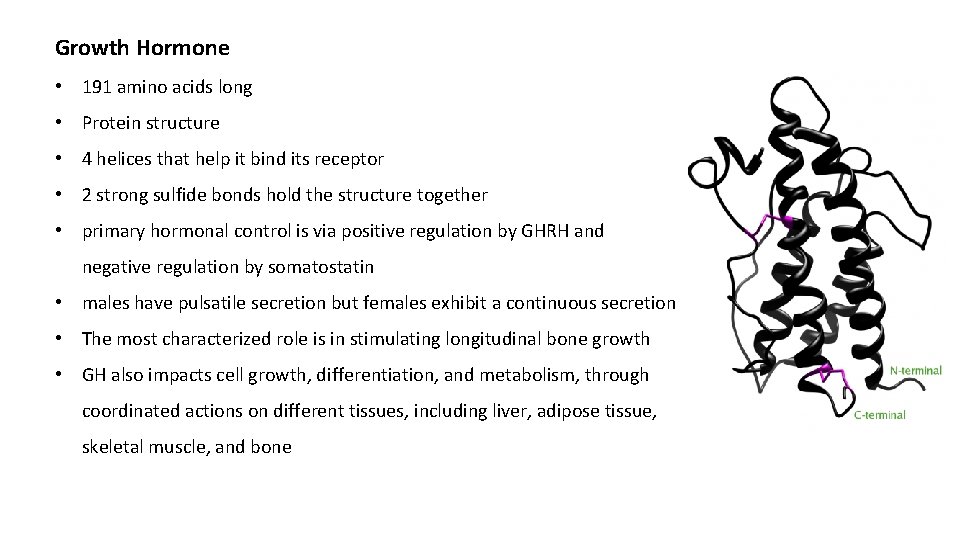 Growth Hormone • 191 amino acids long • Protein structure • 4 helices that