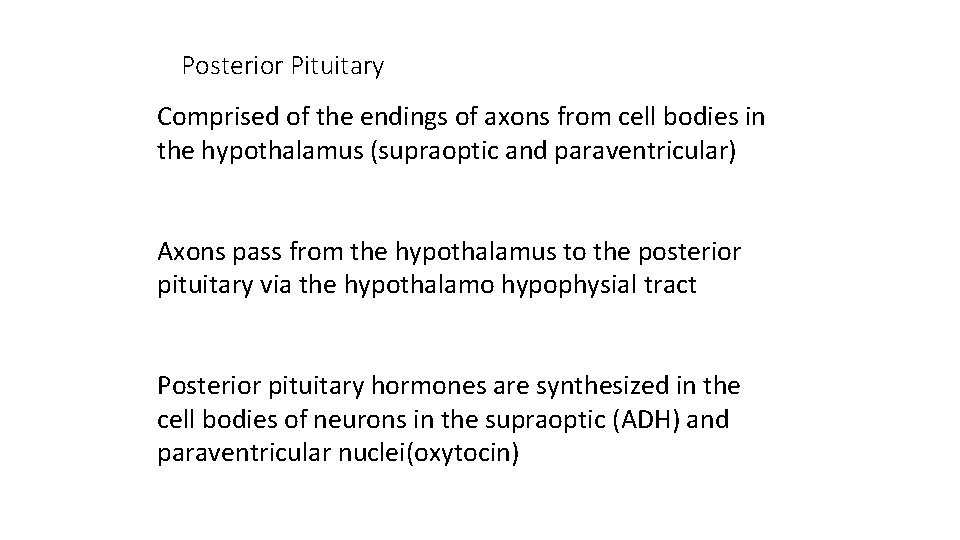 Posterior Pituitary Comprised of the endings of axons from cell bodies in the hypothalamus