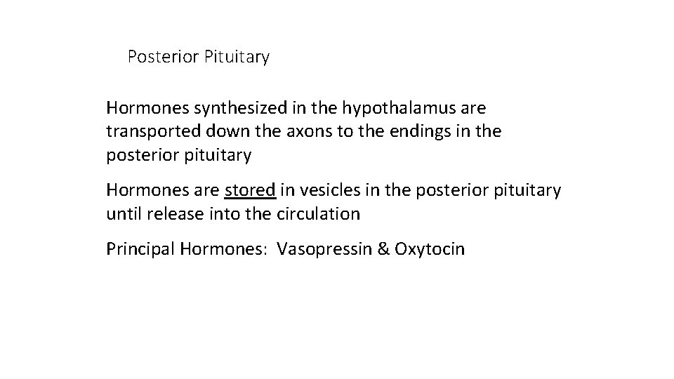 Posterior Pituitary Hormones synthesized in the hypothalamus are transported down the axons to the