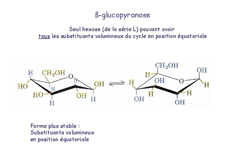 ß-glucopyranose Seul hexose (de la série L) pouvant avoir tous les substituants volumineux du