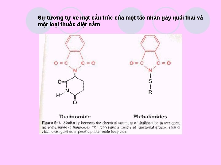 Sự tương tự về mặt cấu trúc của một tác nhân gây quái thai