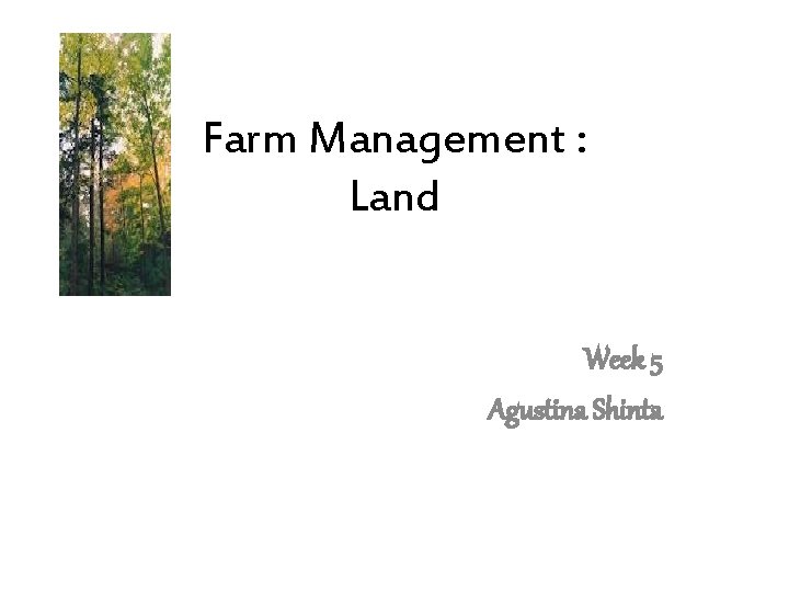 Farm Management : Land Week 5 Agustina Shinta 