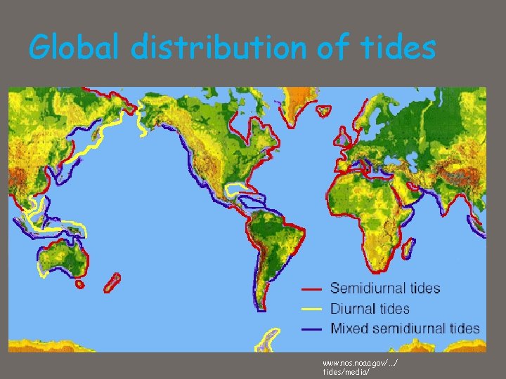 Global distribution of tides www. nos. noaa. gov/. . . / tides/media/ 