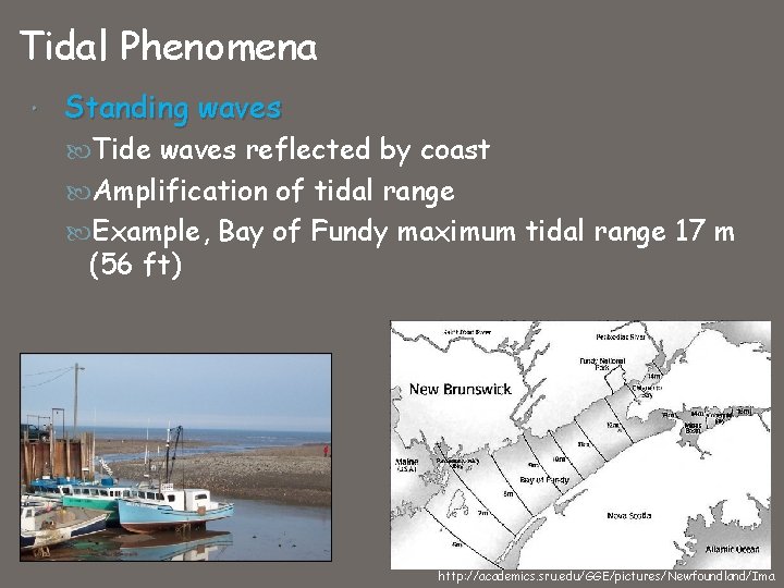 Tidal Phenomena Standing waves Tide waves reflected by coast Amplification of tidal range Example,