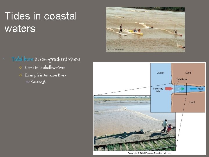 Tides in coastal waters Tidal bore in low-gradient rivers ○ Come in to shallow