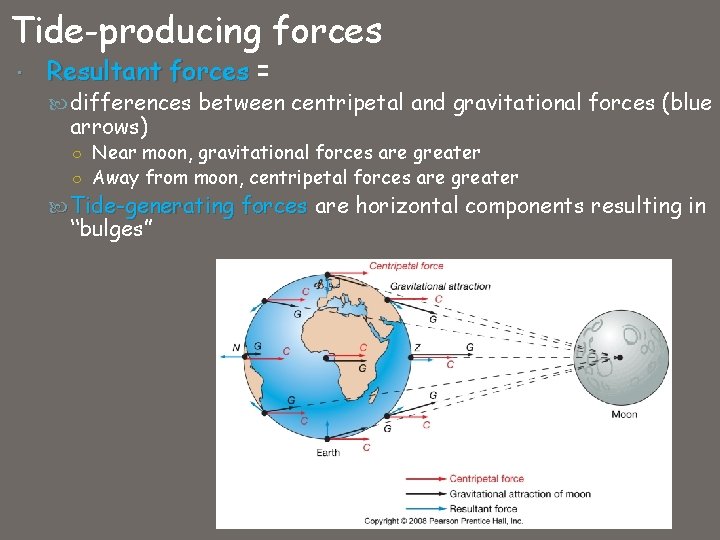 Tide-producing forces Resultant forces = differences between centripetal and gravitational forces (blue arrows) ○