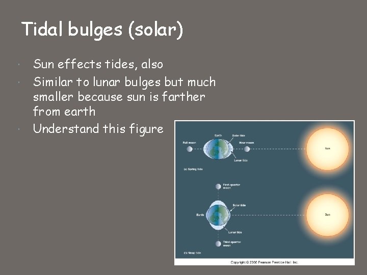 Tidal bulges (solar) Sun effects tides, also Similar to lunar bulges but much smaller