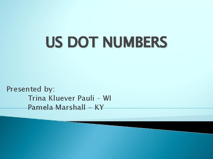 US DOT NUMBERS Presented by: Trina Kluever Pauli – WI Pamela Marshall - KY