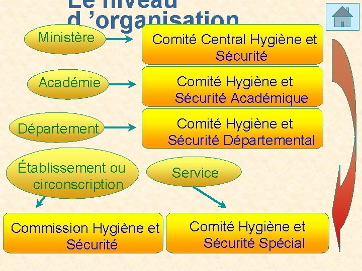 Le niveau d ’organisation Ministère Comité Central Hygiène et Sécurité Académie Département Établissement ou