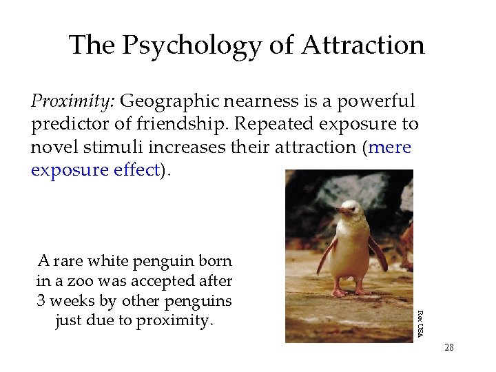 The Psychology of Attraction Proximity: Geographic nearness is a powerful predictor of friendship. Repeated