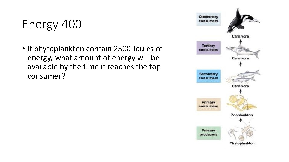 Energy 400 • If phytoplankton contain 2500 Joules of energy, what amount of energy