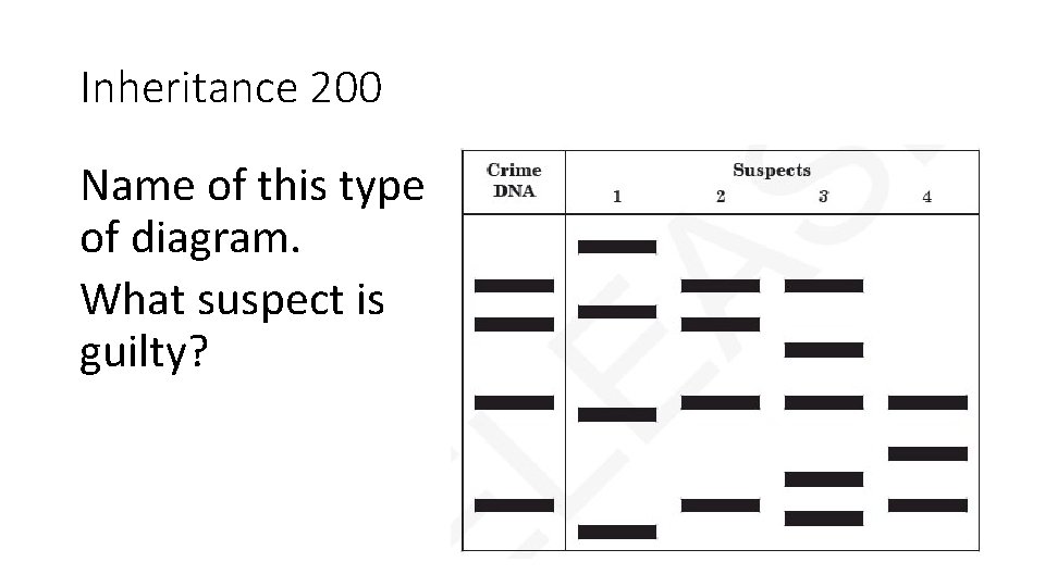 Inheritance 200 Name of this type of diagram. What suspect is guilty? 