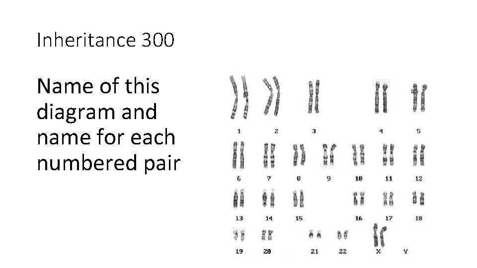 Inheritance 300 Name of this diagram and name for each numbered pair 