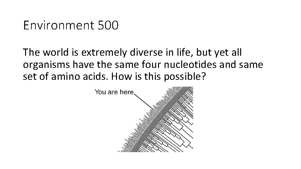 Environment 500 The world is extremely diverse in life, but yet all organisms have