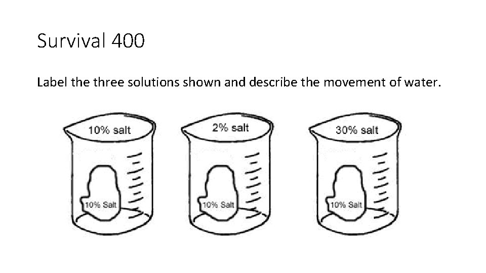 Survival 400 Label the three solutions shown and describe the movement of water. 
