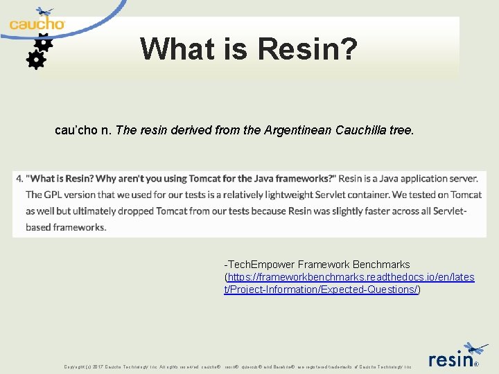 What is Resin? cau’cho n. The resin derived from the Argentinean Cauchilla tree. -Tech.