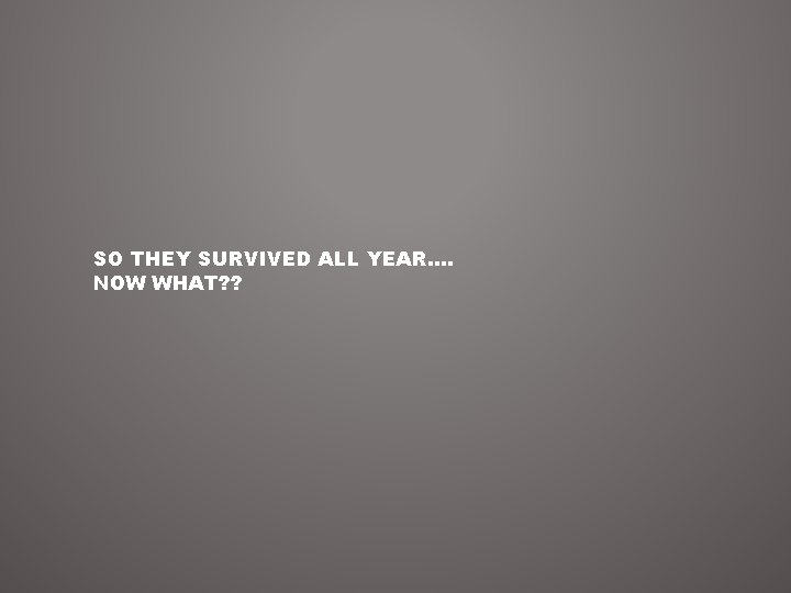 SO THEY SURVIVED ALL YEAR…. NOW WHAT? ? 