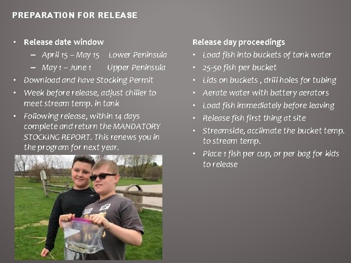 PREPARATION FOR RELEASE • Release date window – April 15 – May 15 Lower