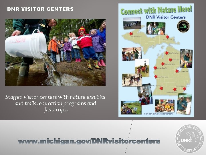 DNR VISITOR CENTERS Staffed visitor centers with nature exhibits and trails, education programs and