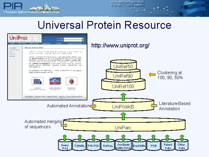 Universal Protein Resource http: //www. uniprot. org/ Uni. Ref 50 Clustering at 100, 90,