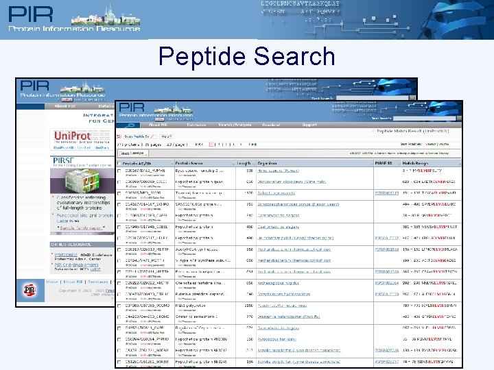 Peptide Search 