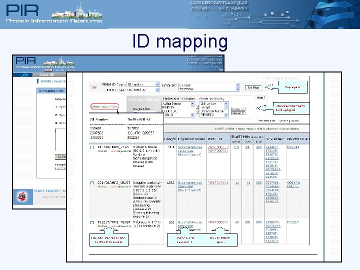 ID mapping 