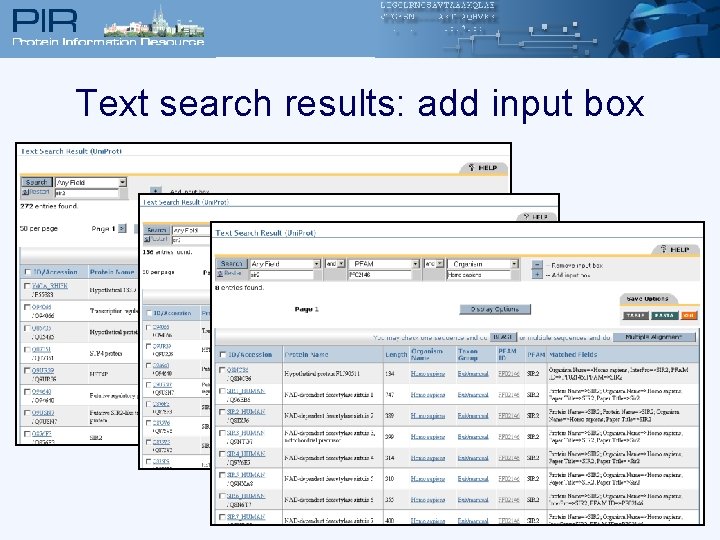 Text search results: add input box 