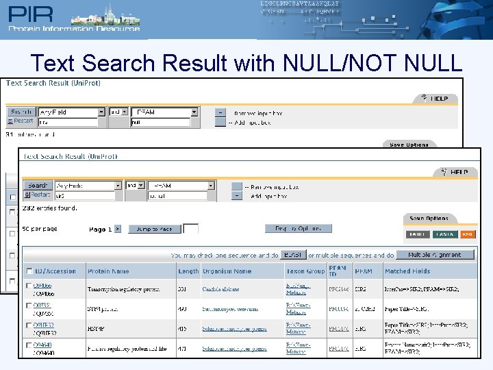 Text Search Result with NULL/NOT NULL 