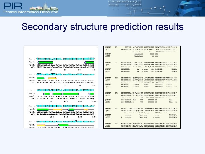 Secondary structure prediction results 