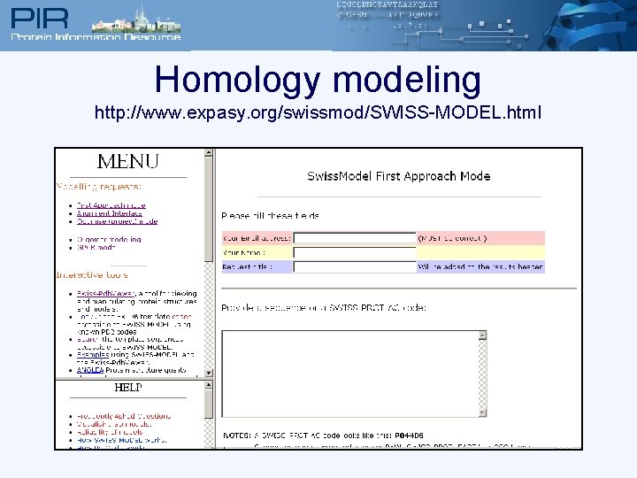 Homology modeling http: //www. expasy. org/swissmod/SWISS-MODEL. html 