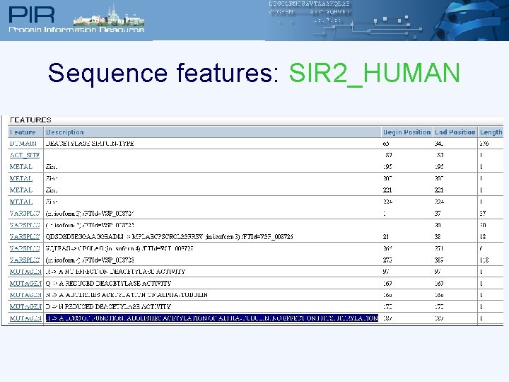 Sequence features: SIR 2_HUMAN 