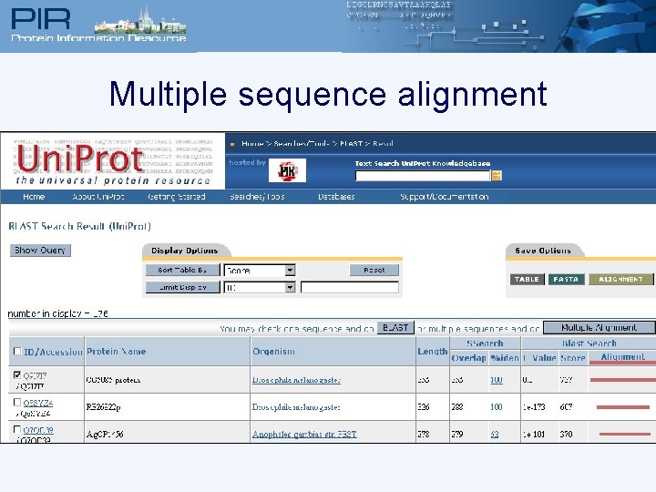 Multiple sequence alignment 