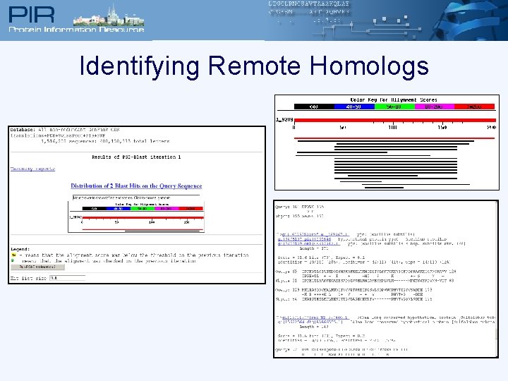 Identifying Remote Homologs 