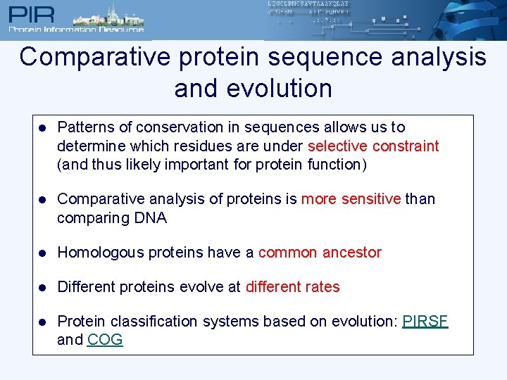 Comparative protein sequence analysis and evolution l Patterns of conservation in sequences allows us