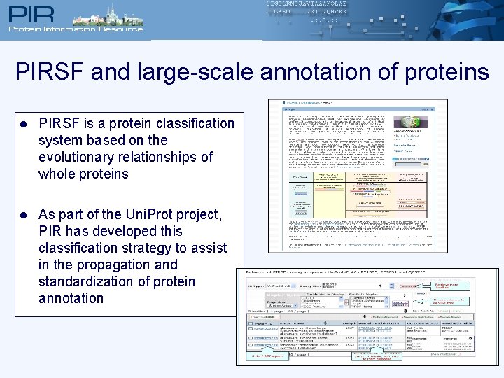 PIRSF and large-scale annotation of proteins l PIRSF is a protein classification system based