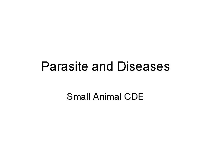 Parasite and Diseases Small Animal CDE 