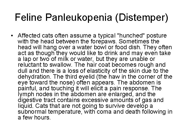 Feline Panleukopenia (Distemper) • Affected cats often assume a typical "hunched" posture with the