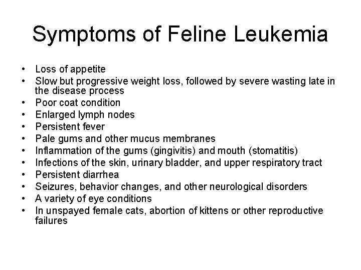 Symptoms of Feline Leukemia • Loss of appetite • Slow but progressive weight loss,