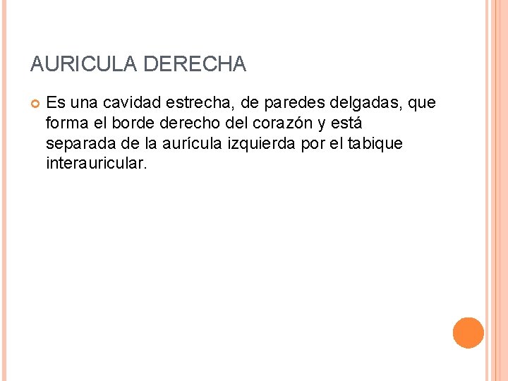 AURICULA DERECHA Es una cavidad estrecha, de paredes delgadas, que forma el borde derecho