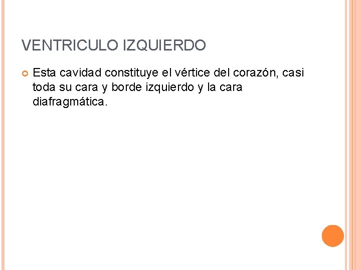 VENTRICULO IZQUIERDO Esta cavidad constituye el vértice del corazón, casi toda su cara y