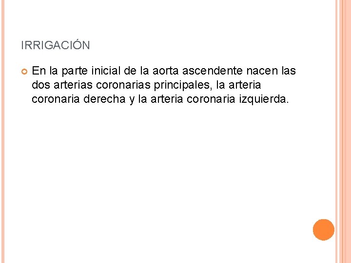 IRRIGACIÓN En la parte inicial de la aorta ascendente nacen las dos arterias coronarias