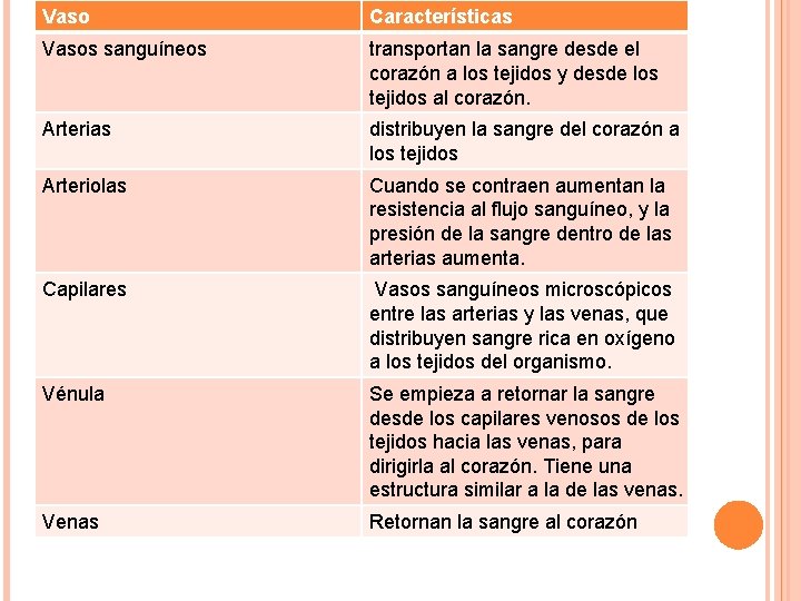 Vaso Características Vasos sanguíneos transportan la sangre desde el corazón a los tejidos y