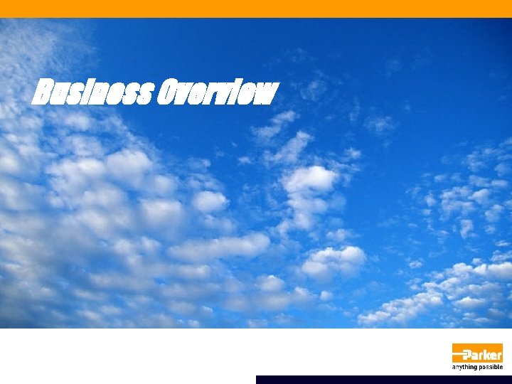 Business Overview 