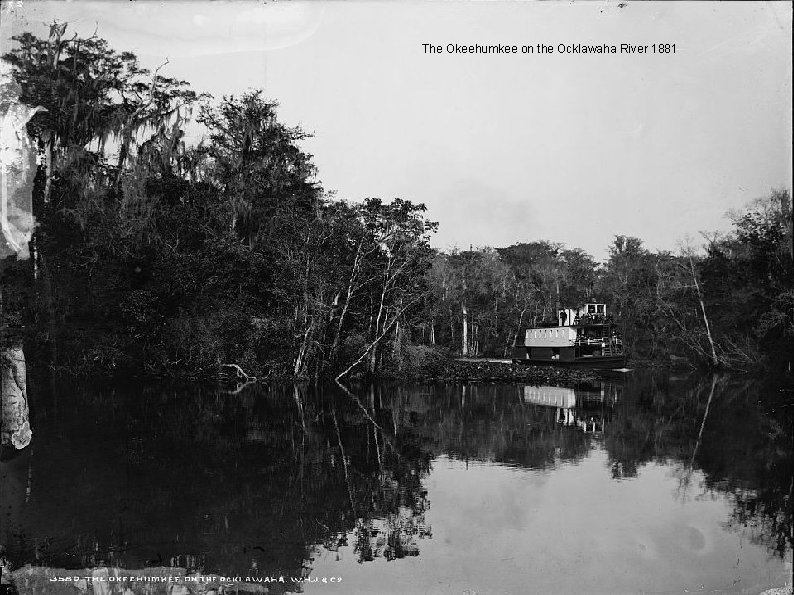 The Okeehumkee on the Ocklawaha River 1881 